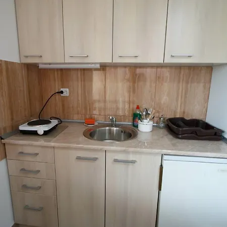 Apartment Lukic *